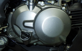 KAWASAKI Z125 PRO 2009 BR125H