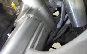 KAWASAKI ZZ-R250 2022 EX250H
