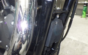 HARLEY XL1200X 2013