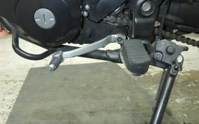 KAWASAKI KLX250D TRACKER X 2019 LX250V