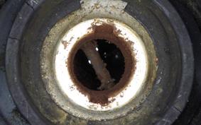 HONDA DIO Gen.5 2023 AF56