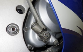 SUZUKI RGV250 Gamma 2025 VJ22A