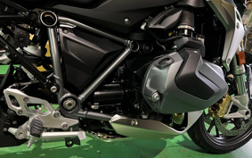 BMW R1250R 2024 0M71