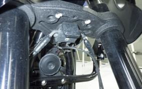 HARLEY FXLRST1920 2024
