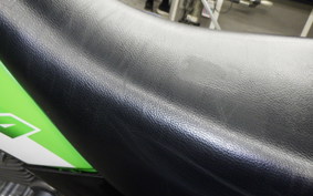 KAWASAKI SUPER SHERPA 2020 KL250G