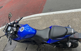 SUZUKI GSX250 R DN11A