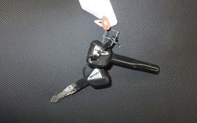 KAWASAKI Z250 Gen.2 EX250P