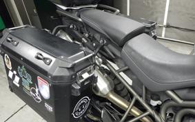 TRIUMPH TIGER 800 XC XA 2020