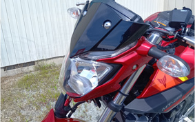 YAMAHA MT-25 RG10J
