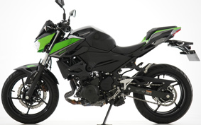 KAWASAKI Z250 EX250Y