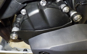 KAWASAKI NINJA ZX-6R A 2025 ZX636J