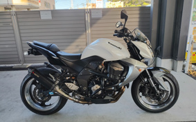 KAWASAKI Z1000 2009 ZRT00B