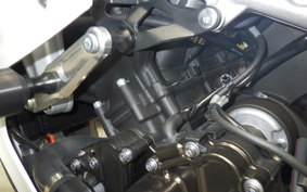 YAMAHA XSR900 GP 2024 RN96J
