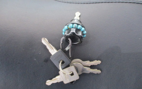 HARLEY HARLEY XL883 2008 CN2