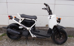 HONDA ZUMAR AF58