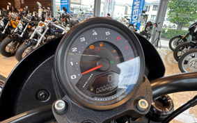 HARLEY FXLRS 2023 YWZ