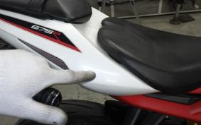 TRIUMPH DAYTONA 675 R 2015