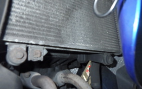 KAWASAKI NINJA 250R 2025 EX250K