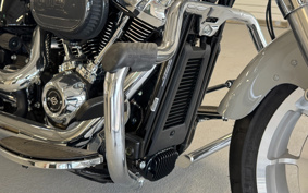 HARLEY  HARLEY FLFBS 2024 YGK