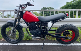 YAMAHA TW225 DG09J