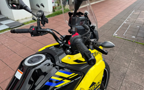 SUZUKI STROM 250ABS DS12E