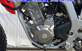 OTHER CRF250L-2