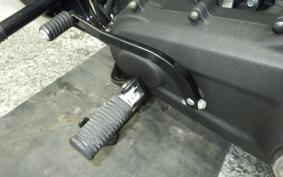 HARLEY FXBB1750 2020