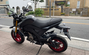 KAWASAKI Z125 PRO BR125H