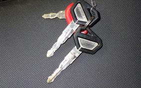 KAWASAKI KLX250 2010 LX250E