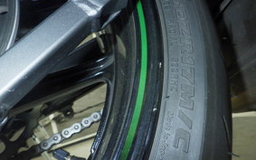 KAWASAKI NINJA 1000SX 2024 ZXT02K