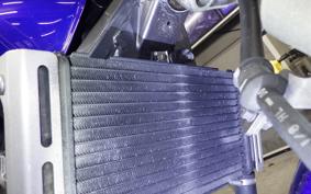 HONDA HORNET 250 2025 MC31