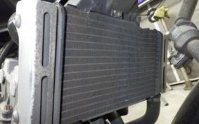 HONDA HORNET 250 2023 MC31