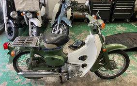HONDA SUPER CUB50 C50