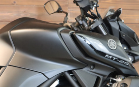 YAMAHA MT-25 RG74J
