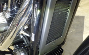 HARLEY FXBB1920 2025