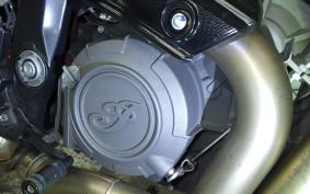 INDIAN FTR1200 carbon 2022