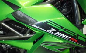 KAWASAKI Z250 SL BR250E