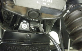 TRIUMPH BONNEVILLE T100 2020