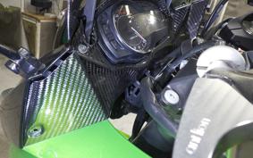 KAWASAKI Z1000 SX ABS 2013