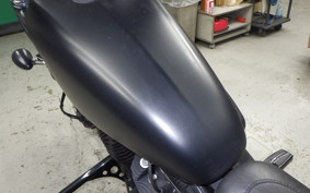 HARLEY XL883N 2019
