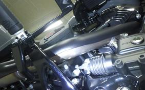 HARLEY FXLRST1920 2026