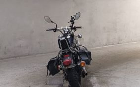 YAMAHA VIRAGO 250 3DM