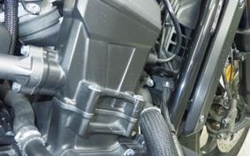 HONDA REBEL 1100 DCT 2021 SC83