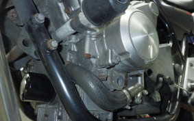 HONDA CB400SF VTEC 2008 NC42