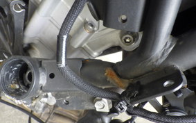 KAWASAKI ZX-4R SE 2024 ZX400P