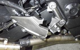 KAWASAKI NINJA 250 ABS