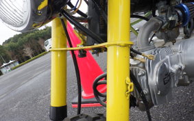 OTHER +UNREGISTERED MODEL by BDS125