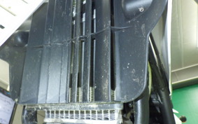 OTHER +ｼｪﾙｺX-RIDE250 1997