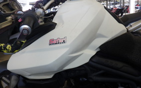 TRIUMPH TIGER800(ショルイナ