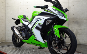 KAWASAKI NINJA 250 EX250L